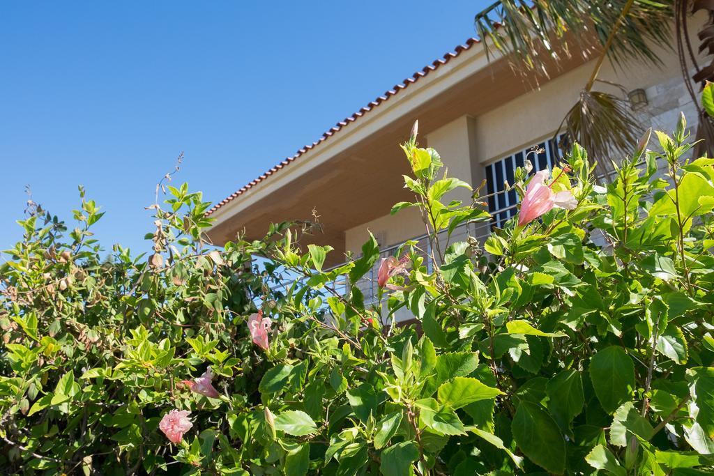 Sunset Beach House Kato Alepochori Exteriér fotografie